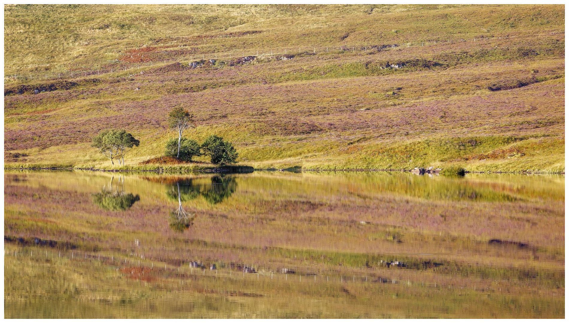 ~~ Nature Kaleidoscope ~~