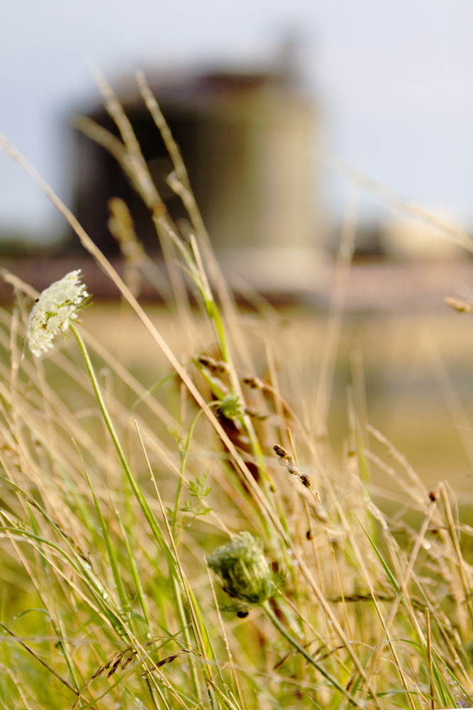 Nature meets industry