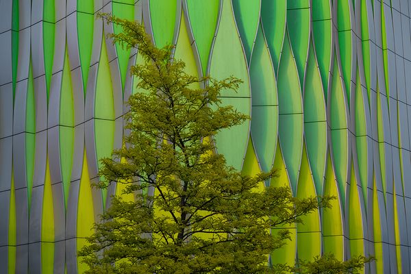 Nature meets [modern] Architecture