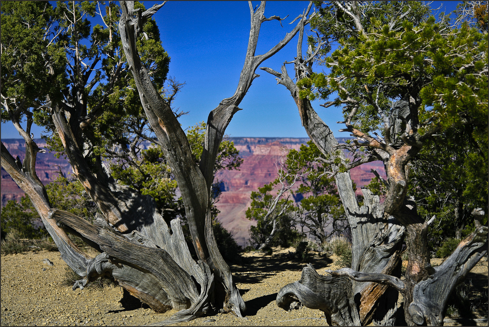 Nature Monuments