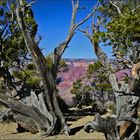 Nature Monuments