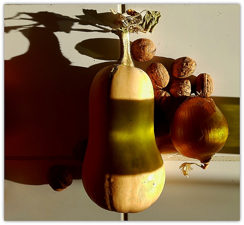 nature morte d'automne..