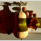 nature morte d'automne..