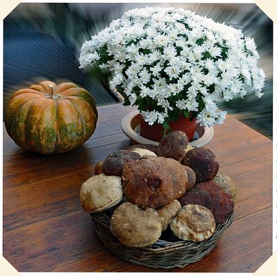 nature morte de saison ....