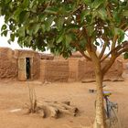 Nature morte du Burkina Faso.