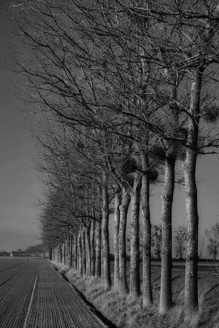 Nature morte en Normandie