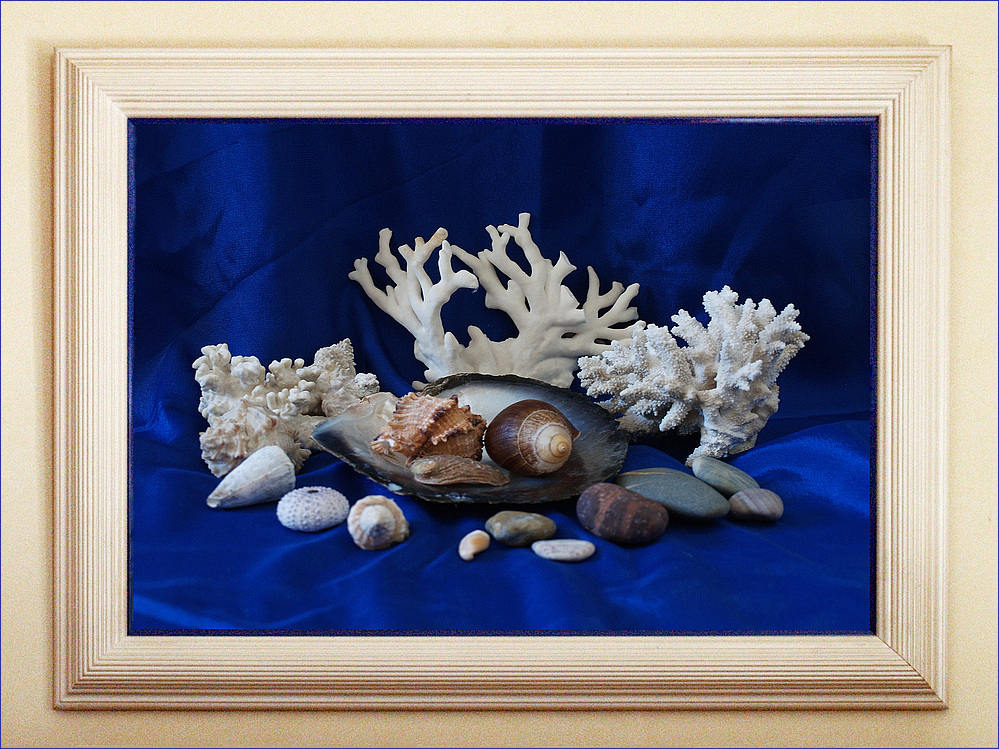 * Nature morte marine * - Exercice hebdomadaire N° 444