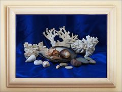 * Nature morte marine * - Exercice hebdomadaire N° 444