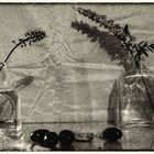 nature morte1