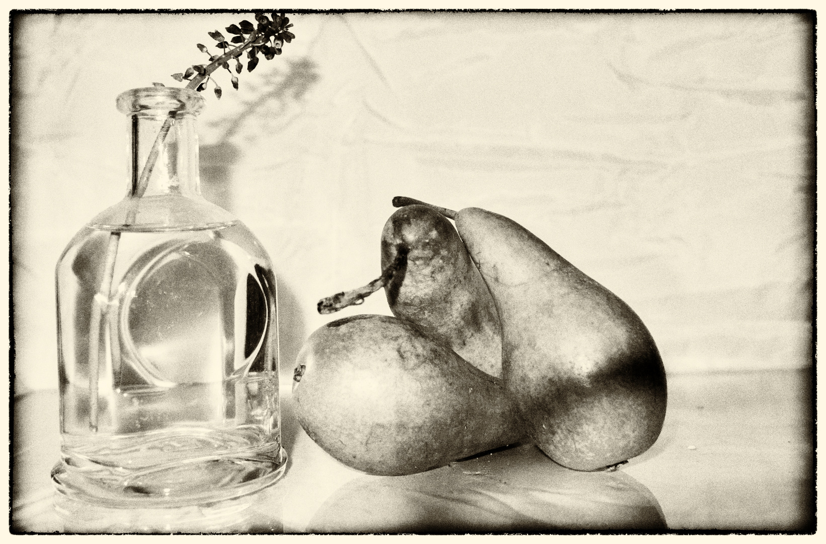 nature morte2