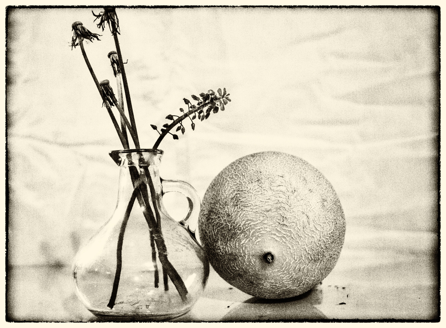 nature morte3