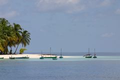 nature mortes aux barques