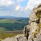 Nature of Dartmoor