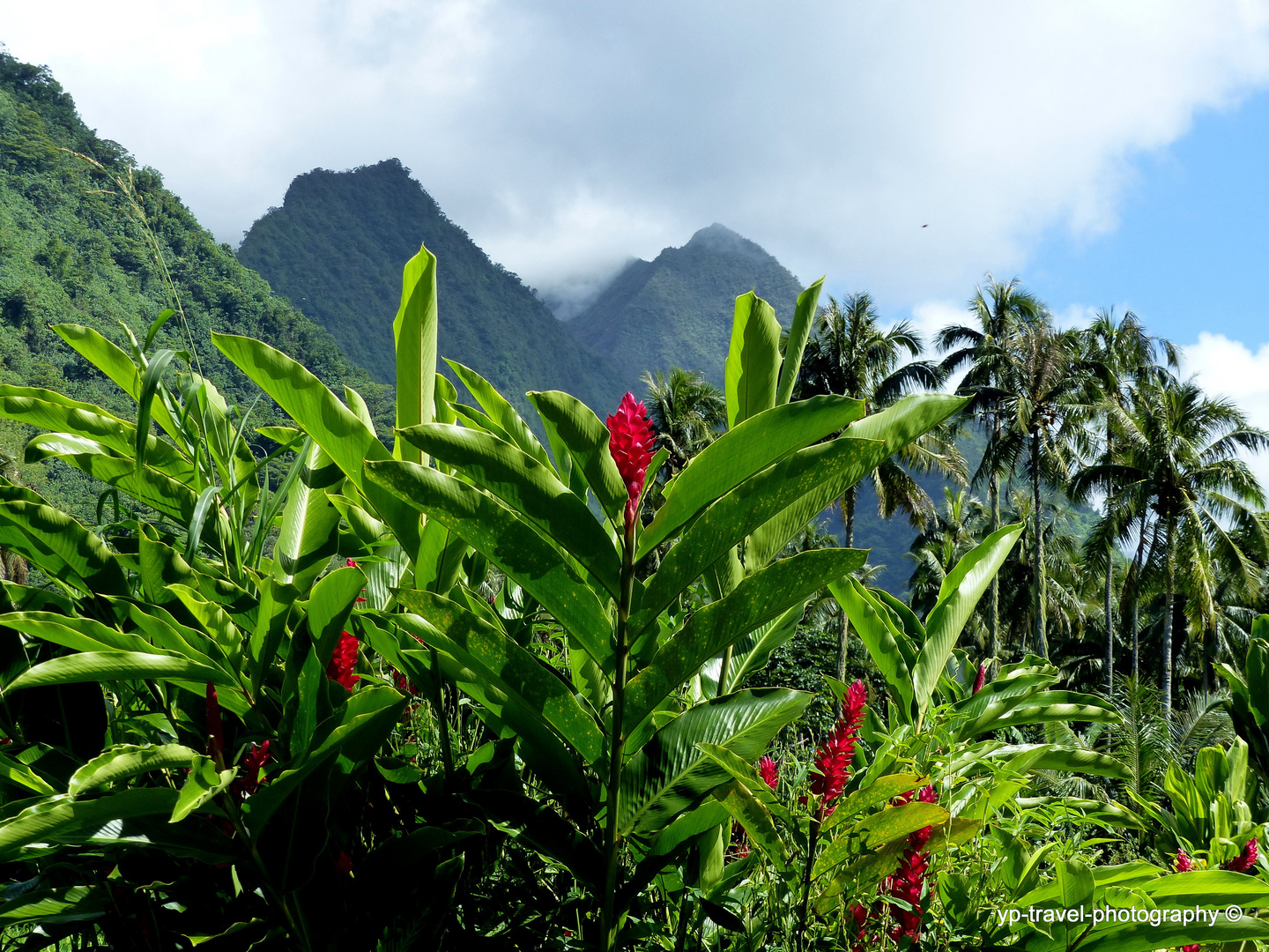 Nature of Tahiti