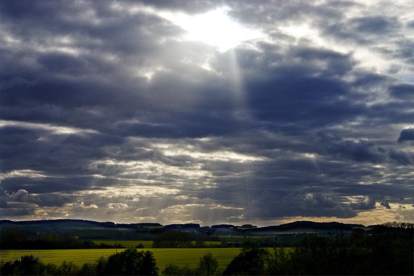 Nature paints light