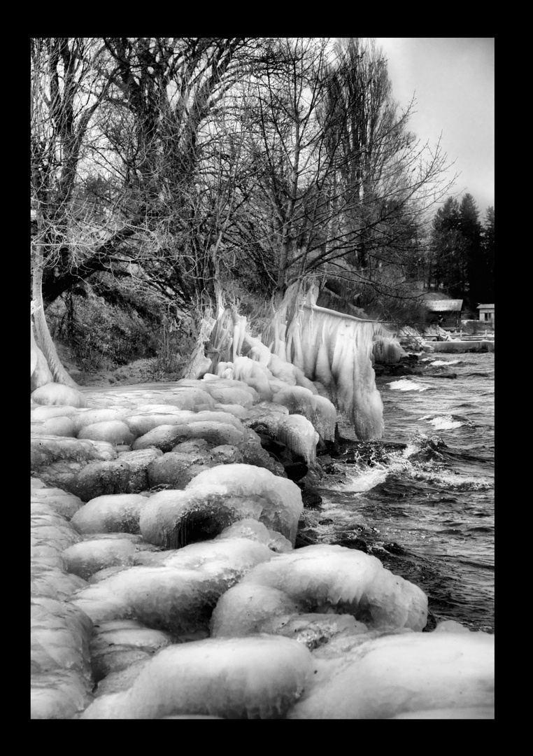 Nature Pétrifiée