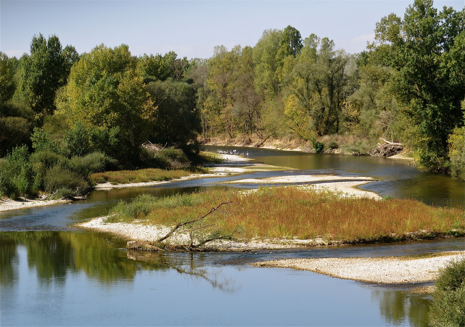 ... nature pur - le Doubs !!!...