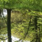 ...Nature pure !!!...