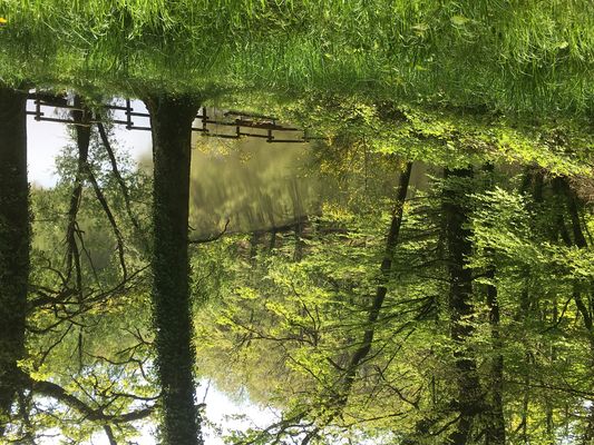 ...Nature pure !!!...