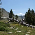 Nature re-visitée dans les Pyrénées !