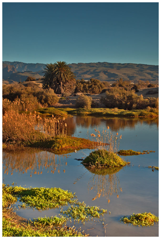 Nature reserve