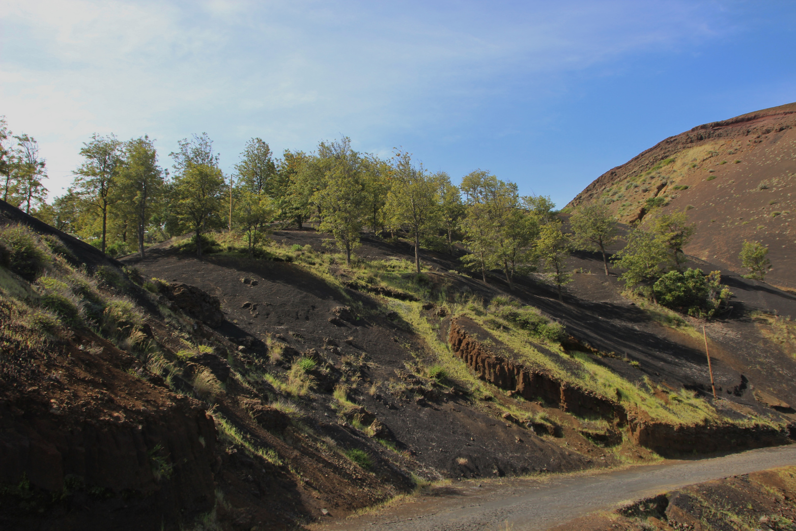 Nature Returns  -  Cape Verde