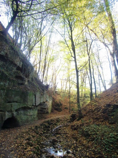 Nature -     Salamandertal Eckersdorf