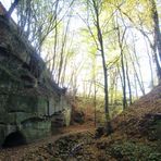 Nature -     Salamandertal Eckersdorf