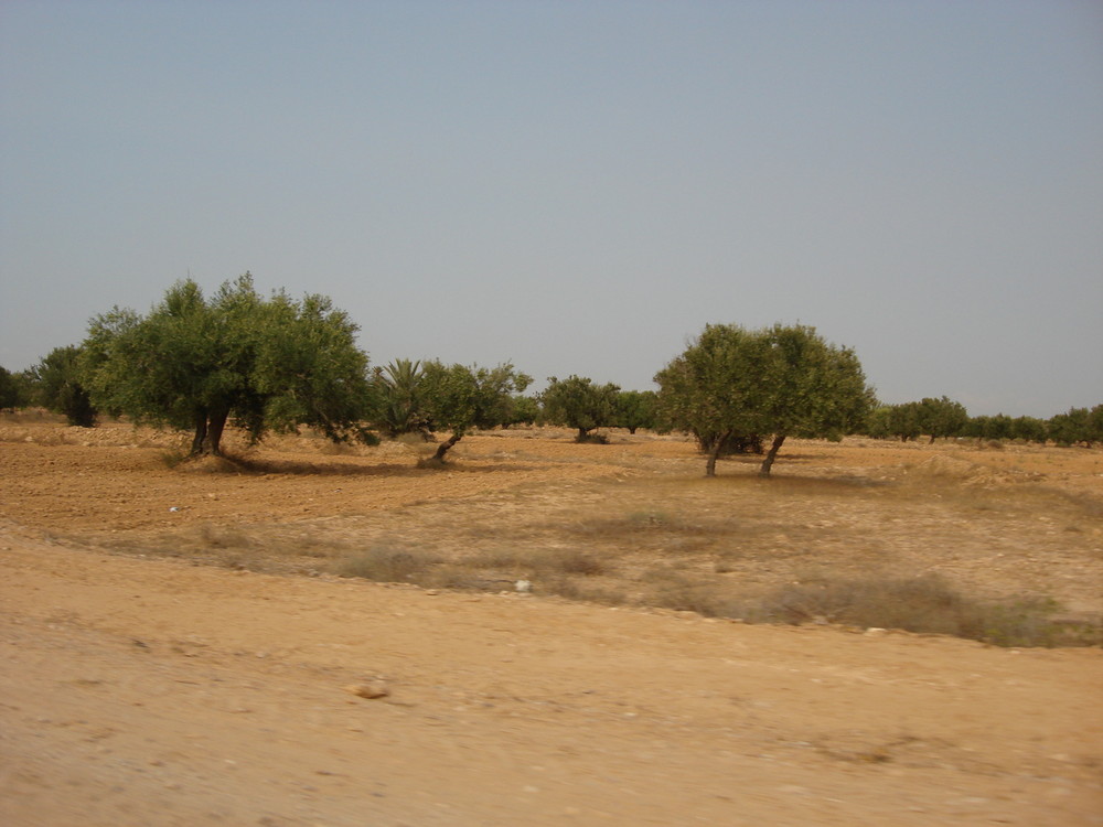 Nature Sauvage, entre Village et Désert