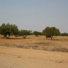 Nature Sauvage, entre Village et Désert