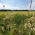 Nature soweit das Auge reicht