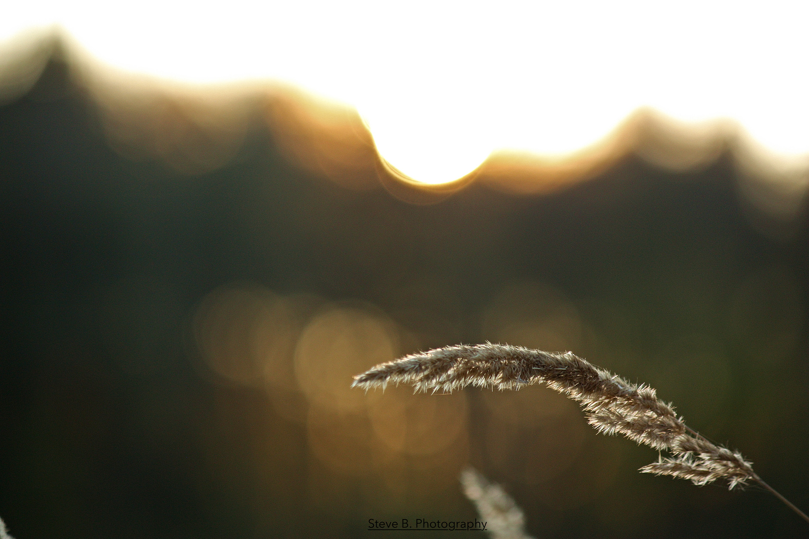 Nature Sunset