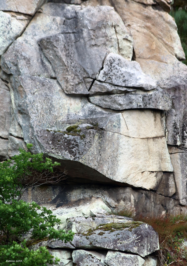 Nature surr aliste photo et image nature abstraite Nature surr aliste photo et image nature abstraite