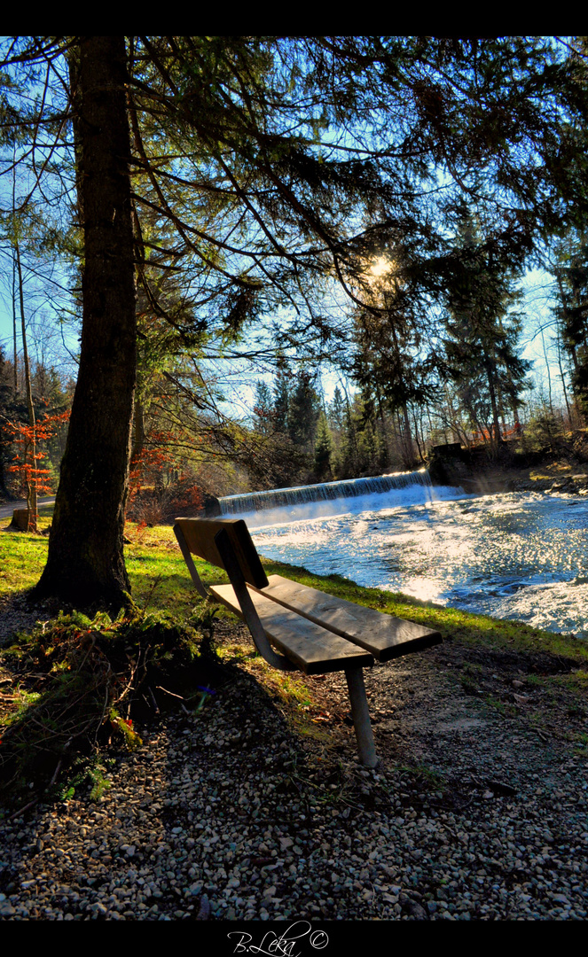 Nature Swiss