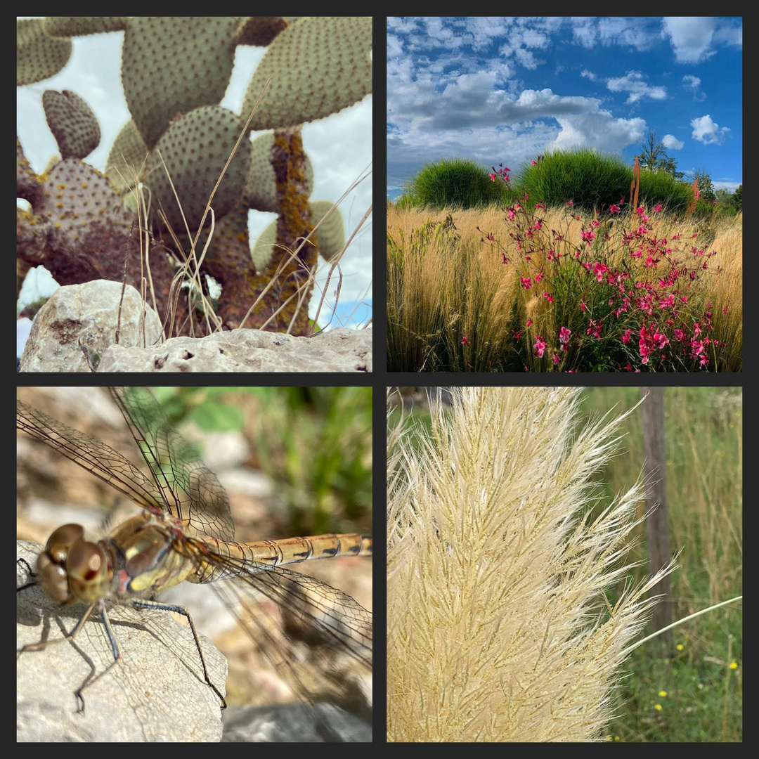 Nature through the eyes of my daughter ????