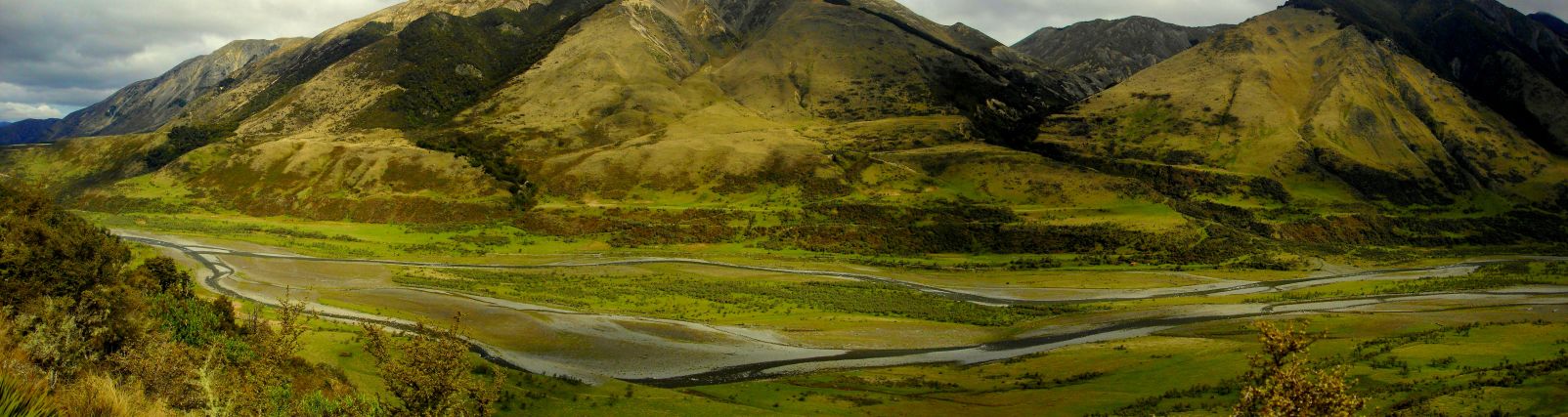 Nature verdoyante sur la rivière de l'espoir (South Island- New Zealand)