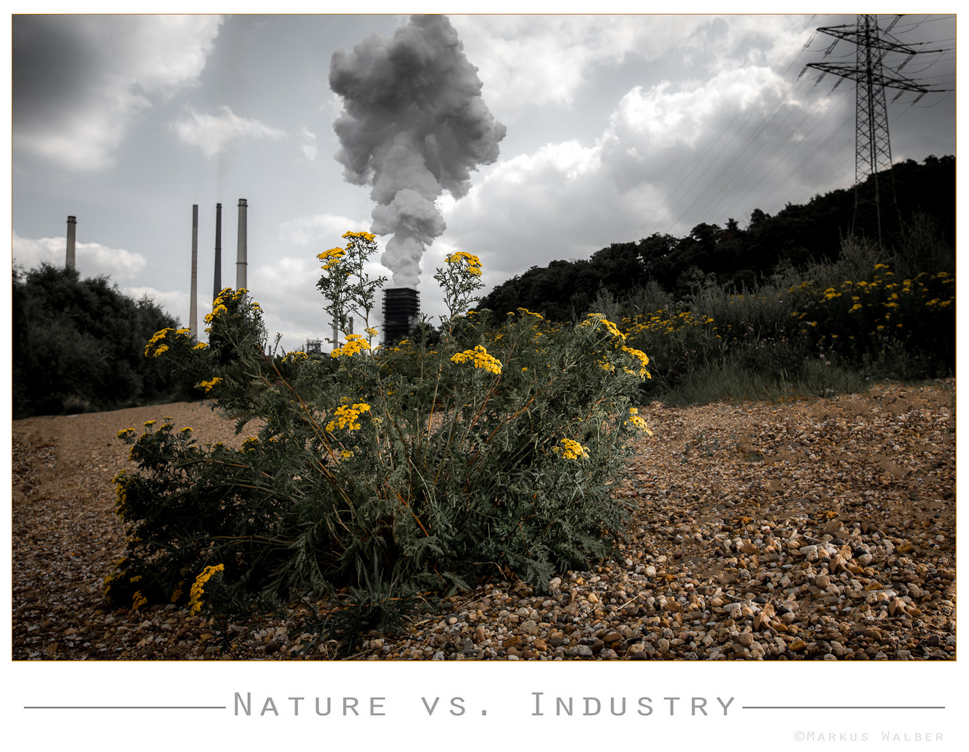 Nature vs. Industry