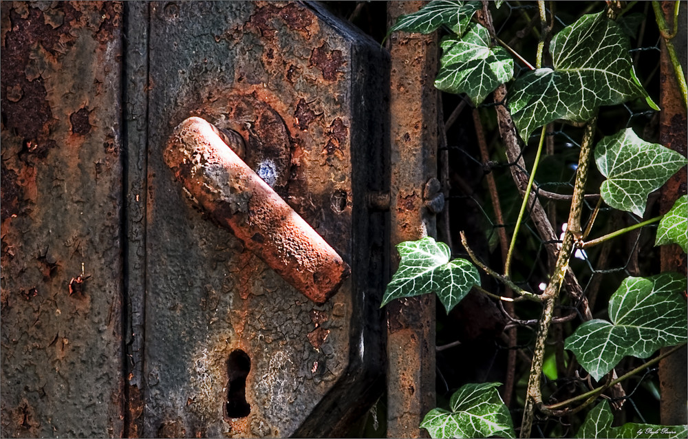nature vs rusty gate