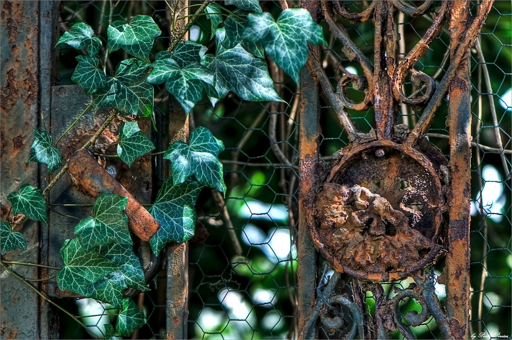 nature vs rusty steel