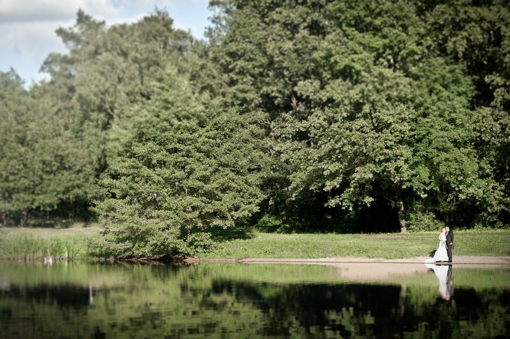 Nature Wedding