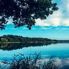 Nature - Weiher Westerwald 