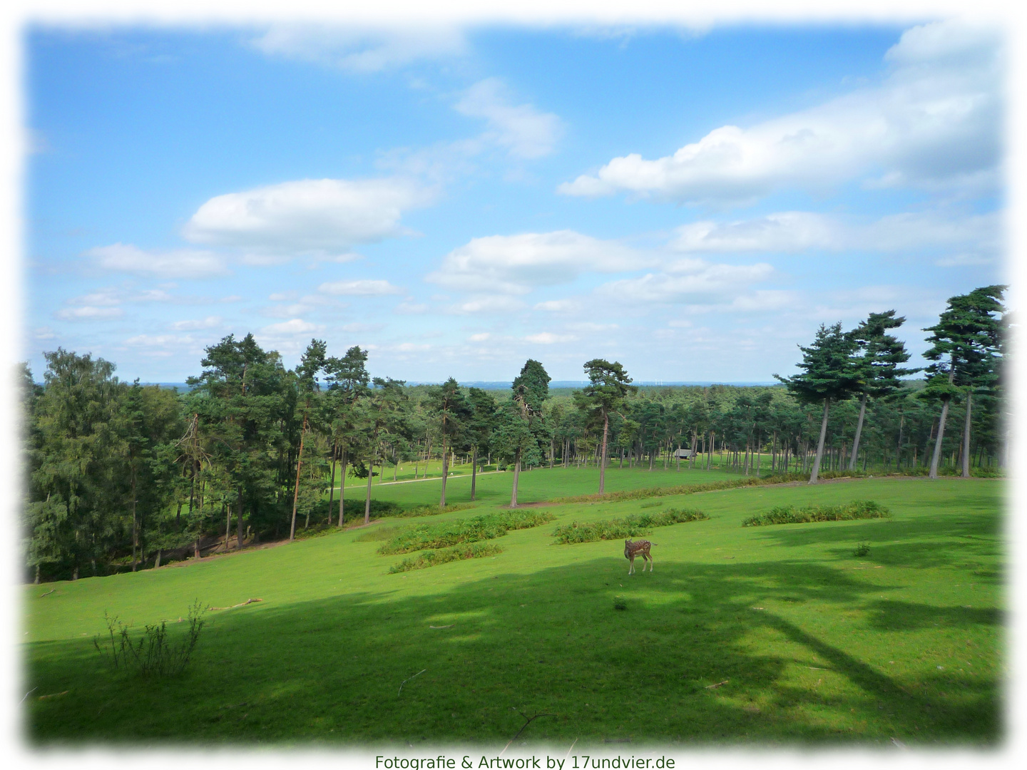 Nature Wildlife Park Granat