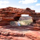 Nature Window