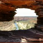 Nature Window