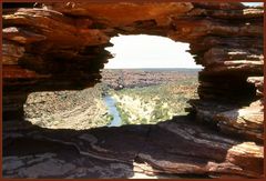 Nature Window