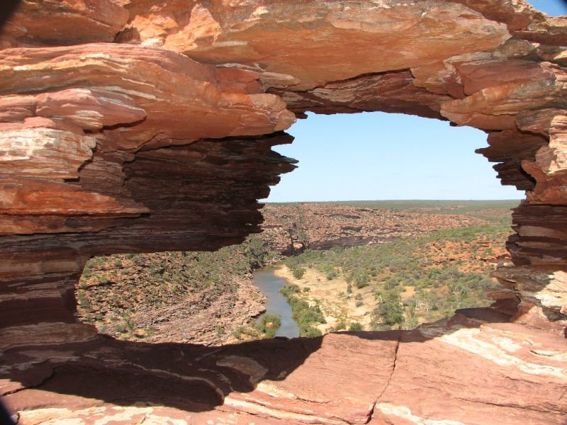 Nature Window