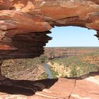 Nature Window