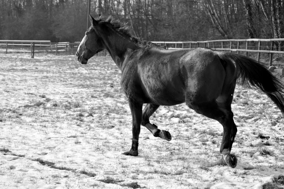 Naturel et mouvement