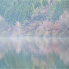 Naturel kalaidoscope / Kalaidoskop a la Natur