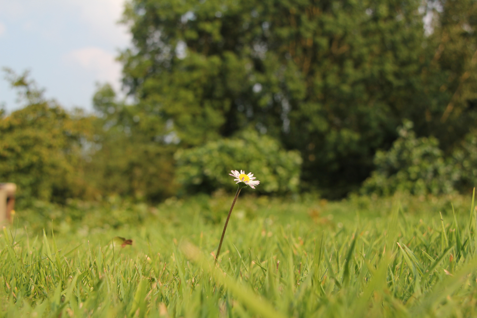 Naturellement Campagnard